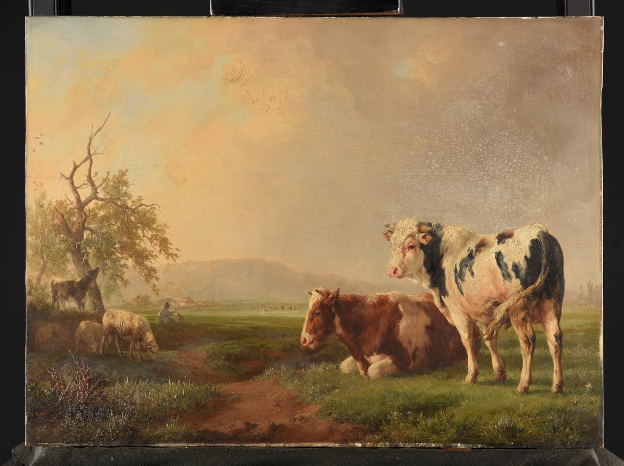 Vieh auf der Weide von Jacques Raymond Brascassat
