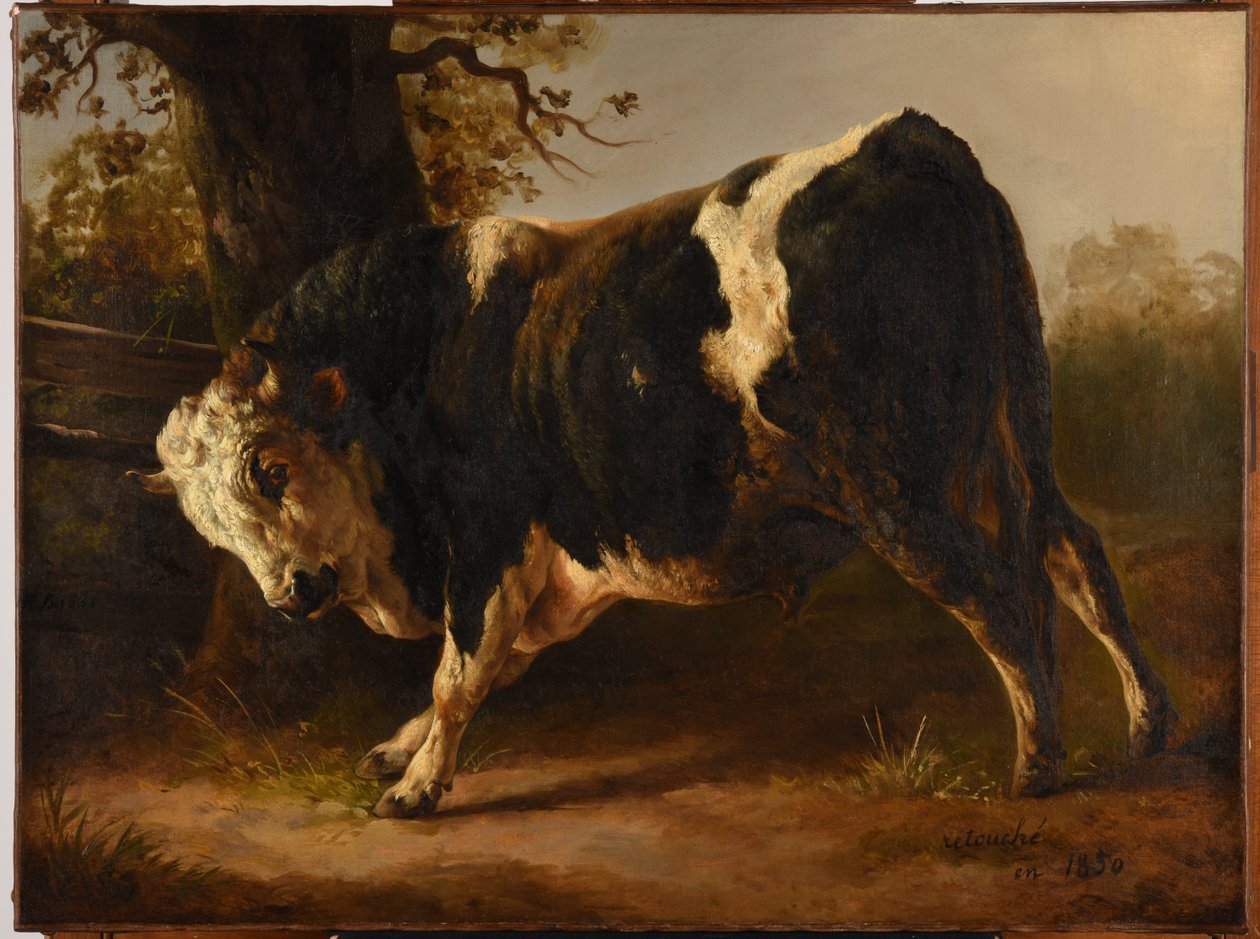Wütender Stier von Jacques Raymond Brascassat