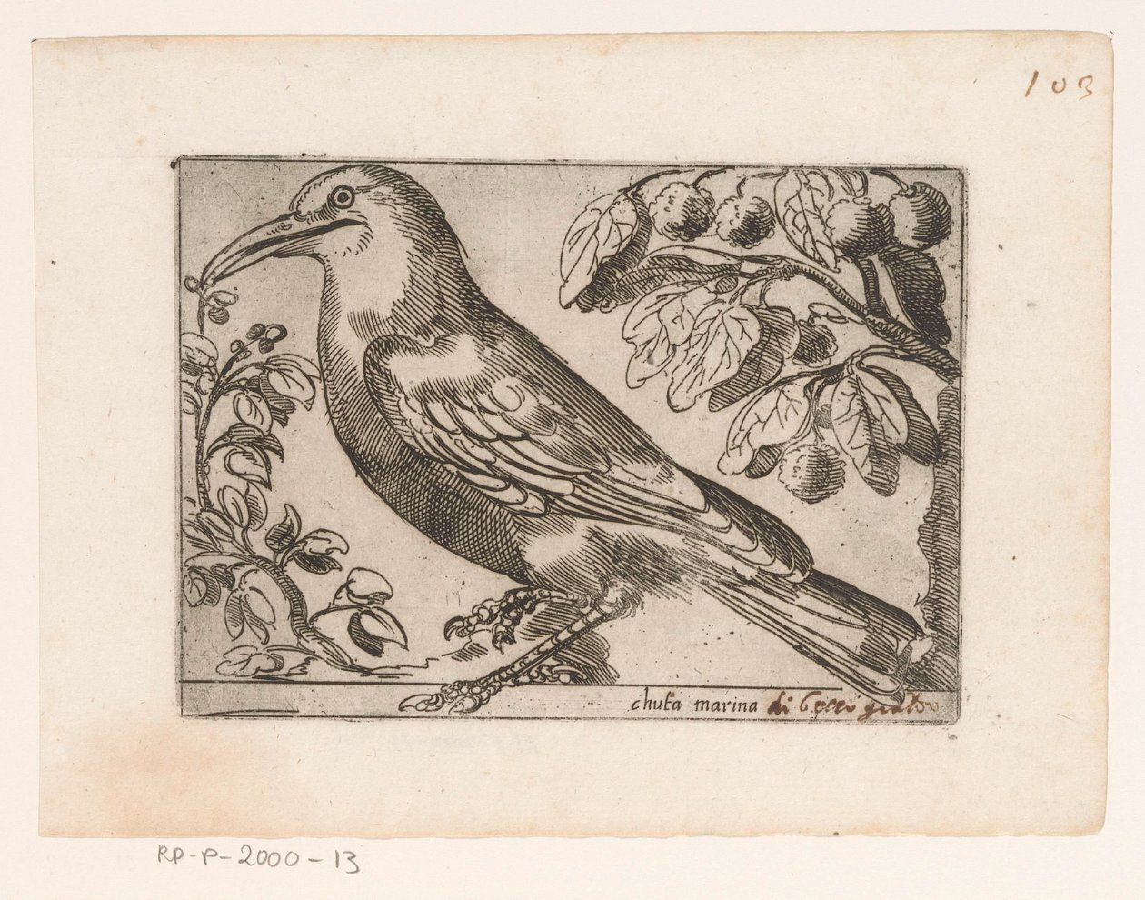 Vogel von Jacques de Fornazeris (possibly)