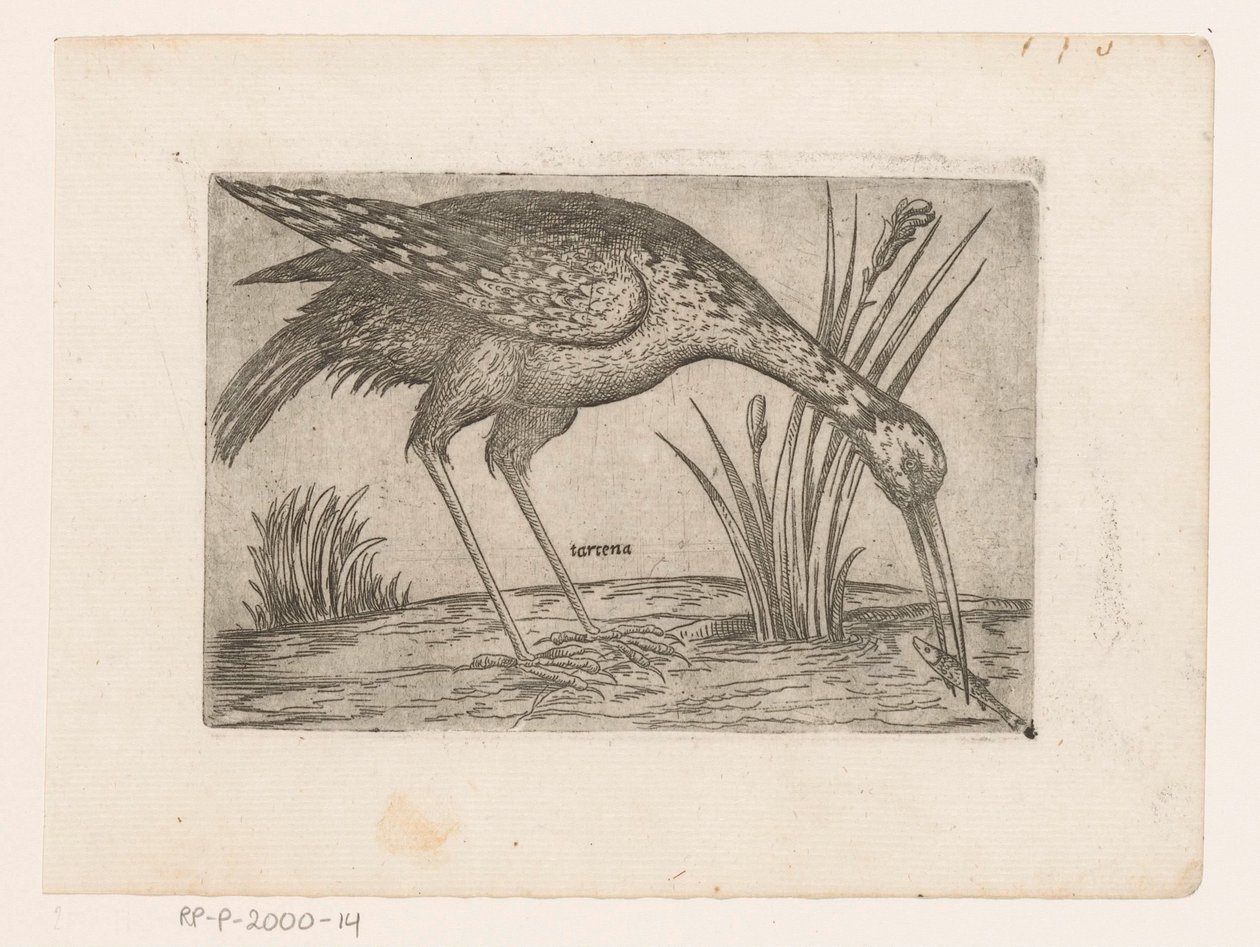Vogel (Vogels) von Jacques de Fornazeris (possibly)