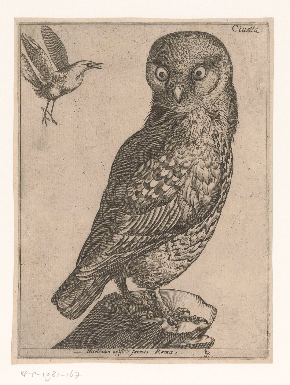 Steinkauz von Jacques de Fornazeris