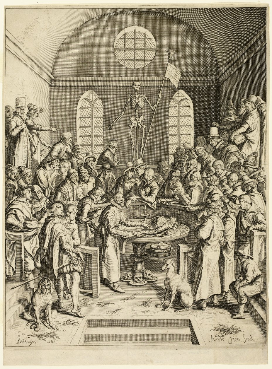 Die Anatomievorlesung des Professors Pauw von Jacques de Gheyn II