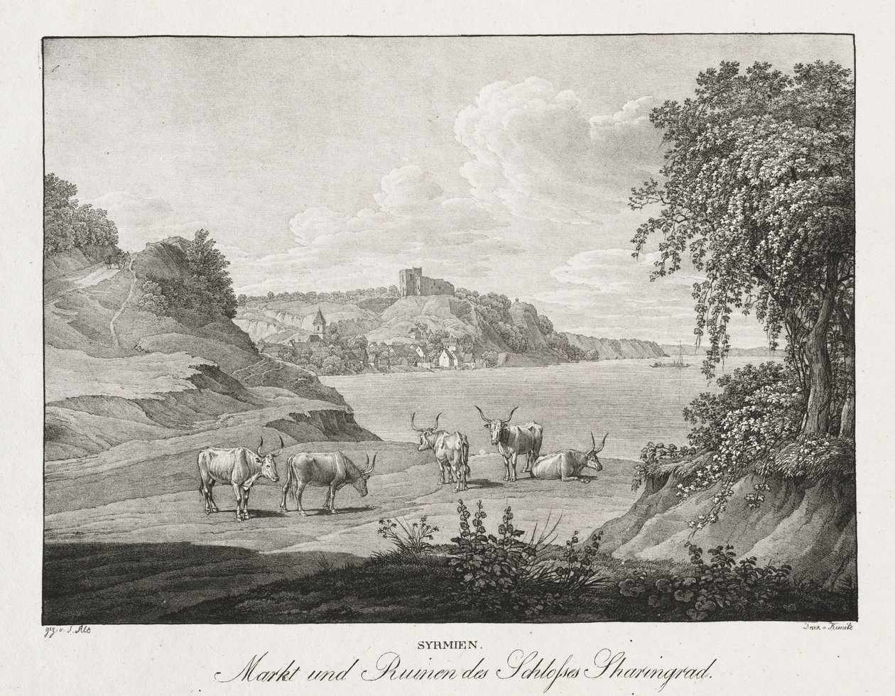 Syrmien, Markt und Ruinen des Schlosses Sharengrad von Jakob Alt