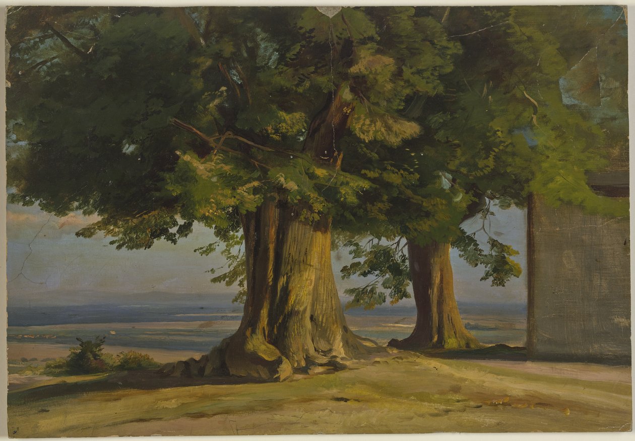 Alte Bäume und Ausblick auf weite Ebene von Jakob Becker