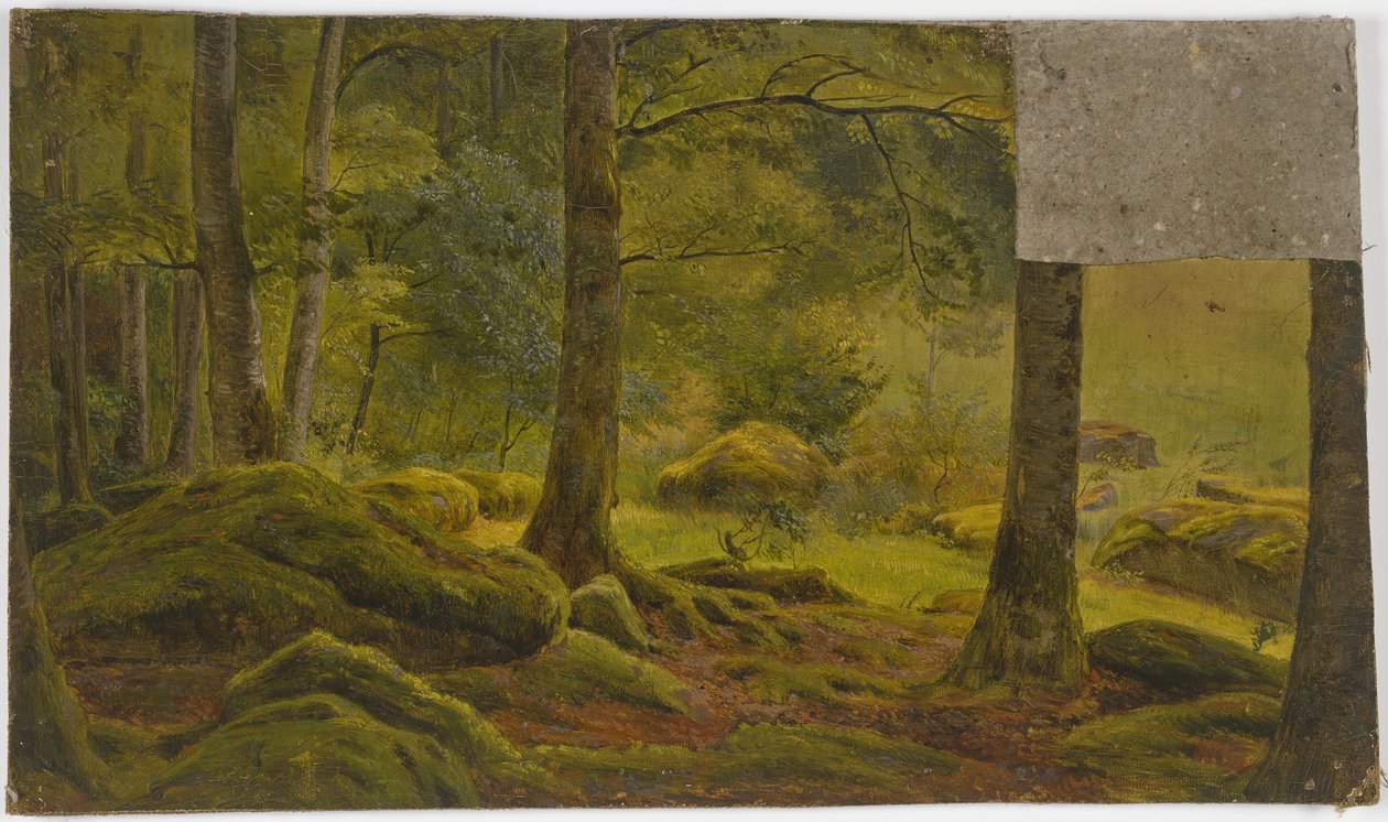 Im Wald von Jakob Becker