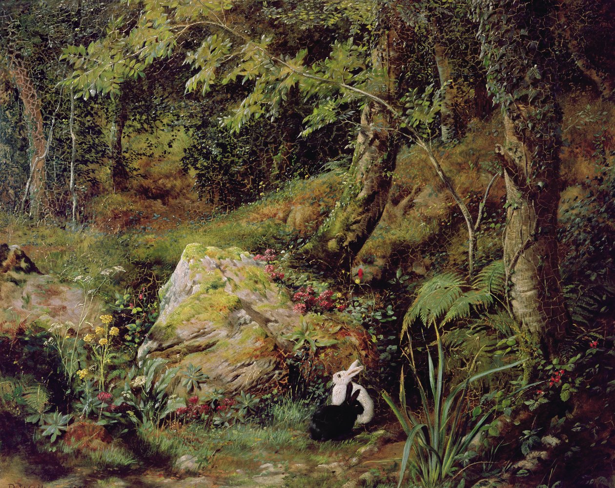 Streunende Kaninchen von James Collinson