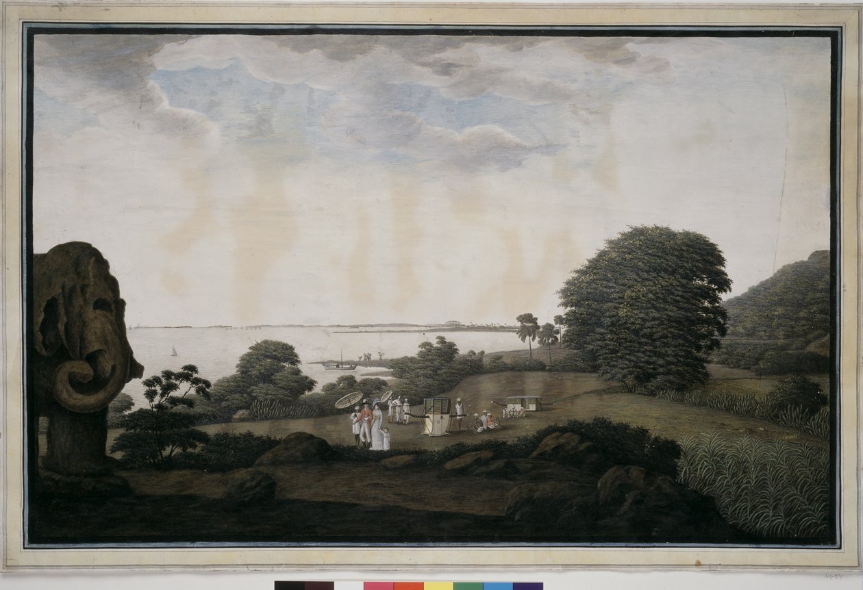 Elefantenauge von James Wales