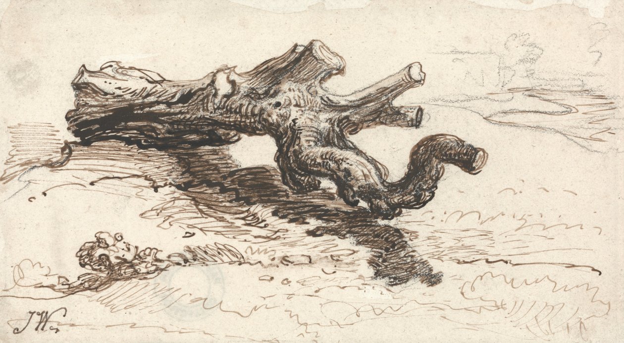 Ein Baumstamm auf dem Boden von James Ward