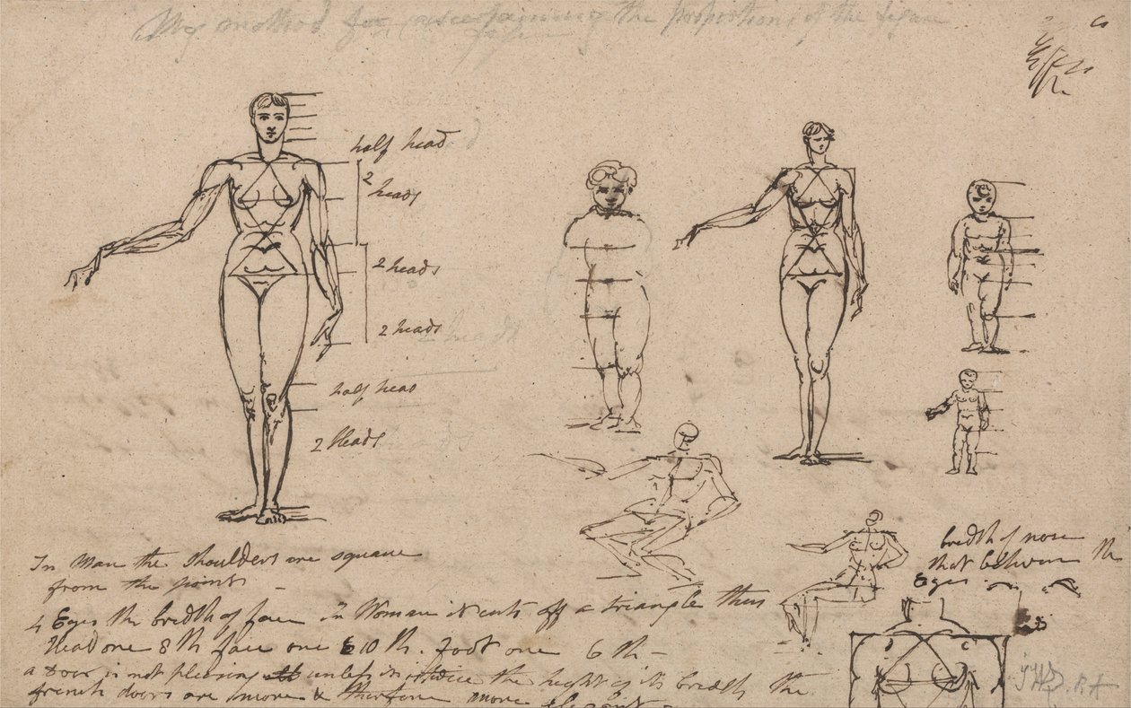 Studien der Anatomie, Maße und Schrift von James Ward