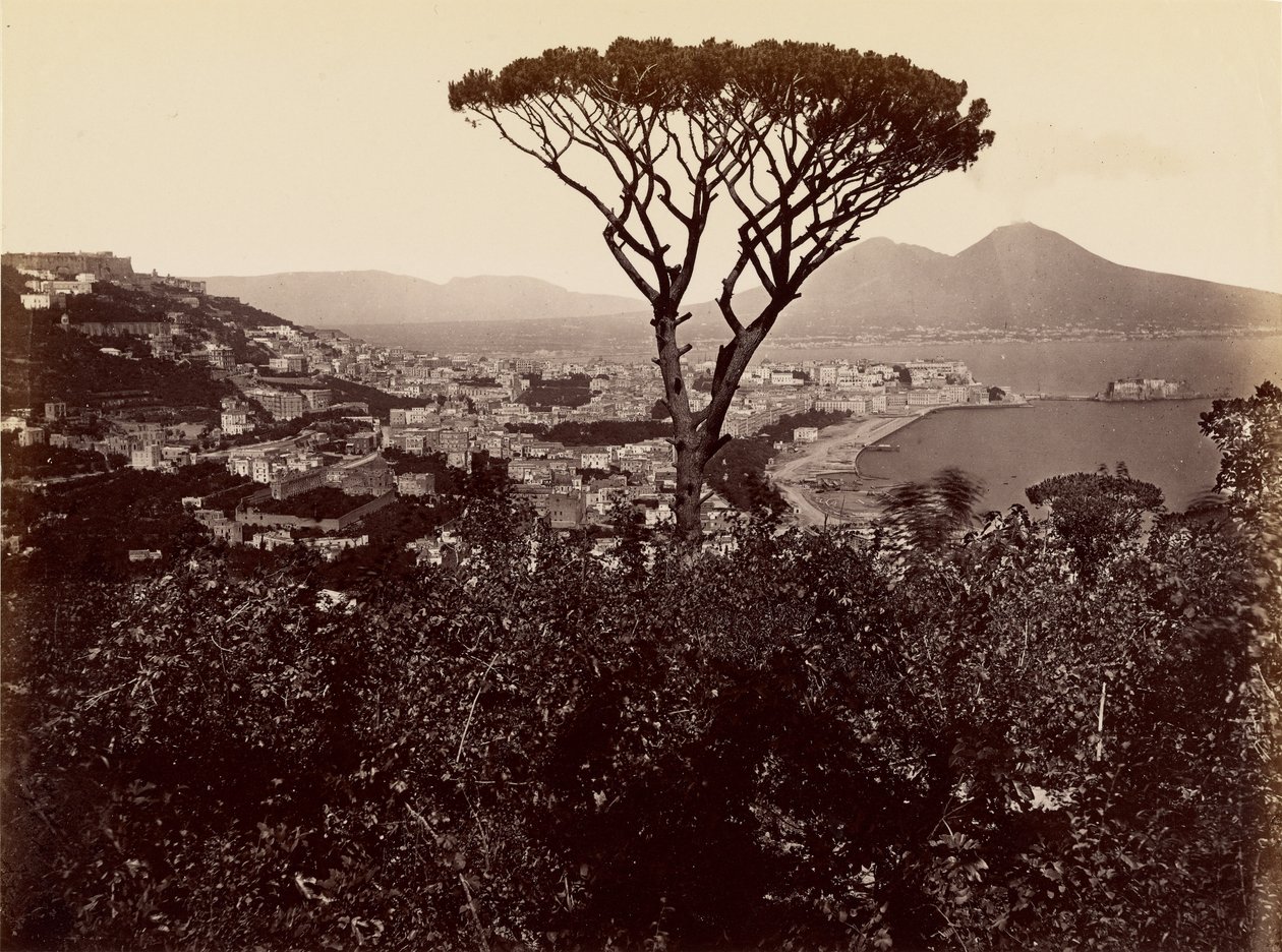 Panorama von Neapel von James Anderson