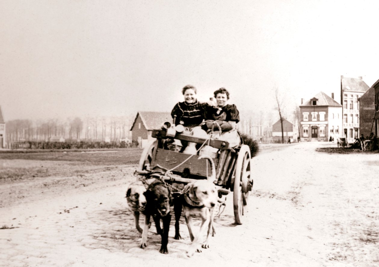 Hunde ziehen Frauen auf einem Wagen, Antwerpen, 1898 von James Batkin
