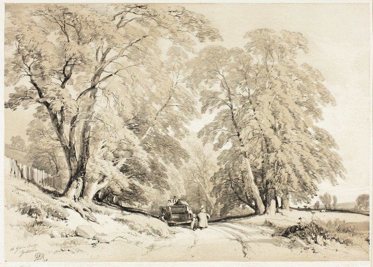 Esche, aus Der Park und der Wald von James Duffield Harding