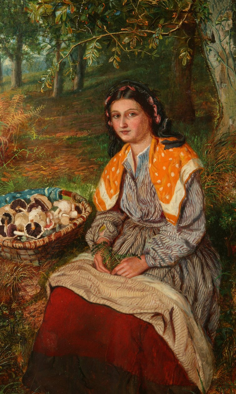 Der Pilzsammler von James Edgar