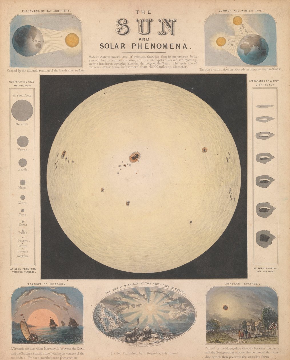 Die Sonne und solare Phänomene von James & Emslie John (1813 75) Reynolds