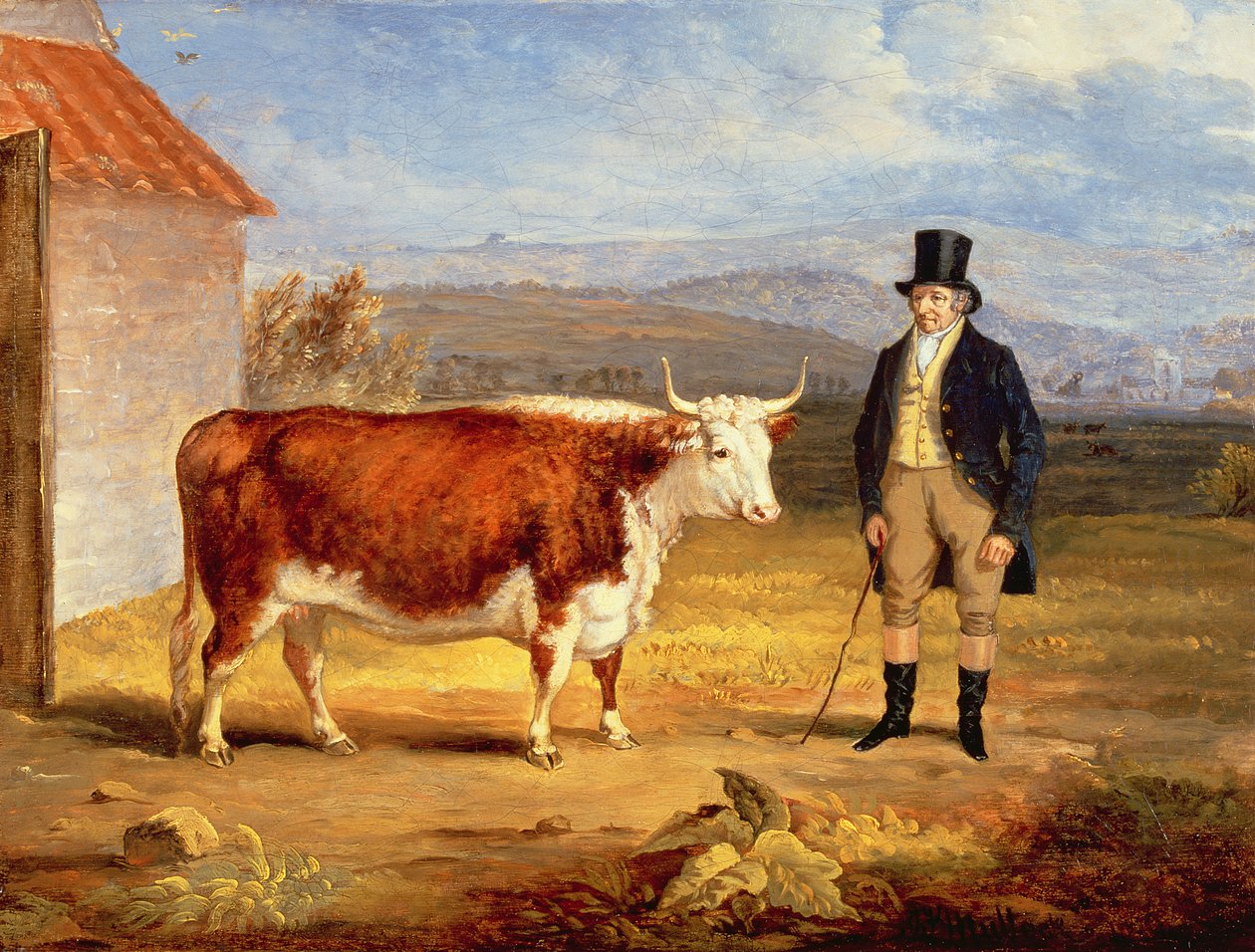 Mr. James Hodges und seine zweijährige Hereford-Färse, ca. 1843 von James Flewitt Mullock
