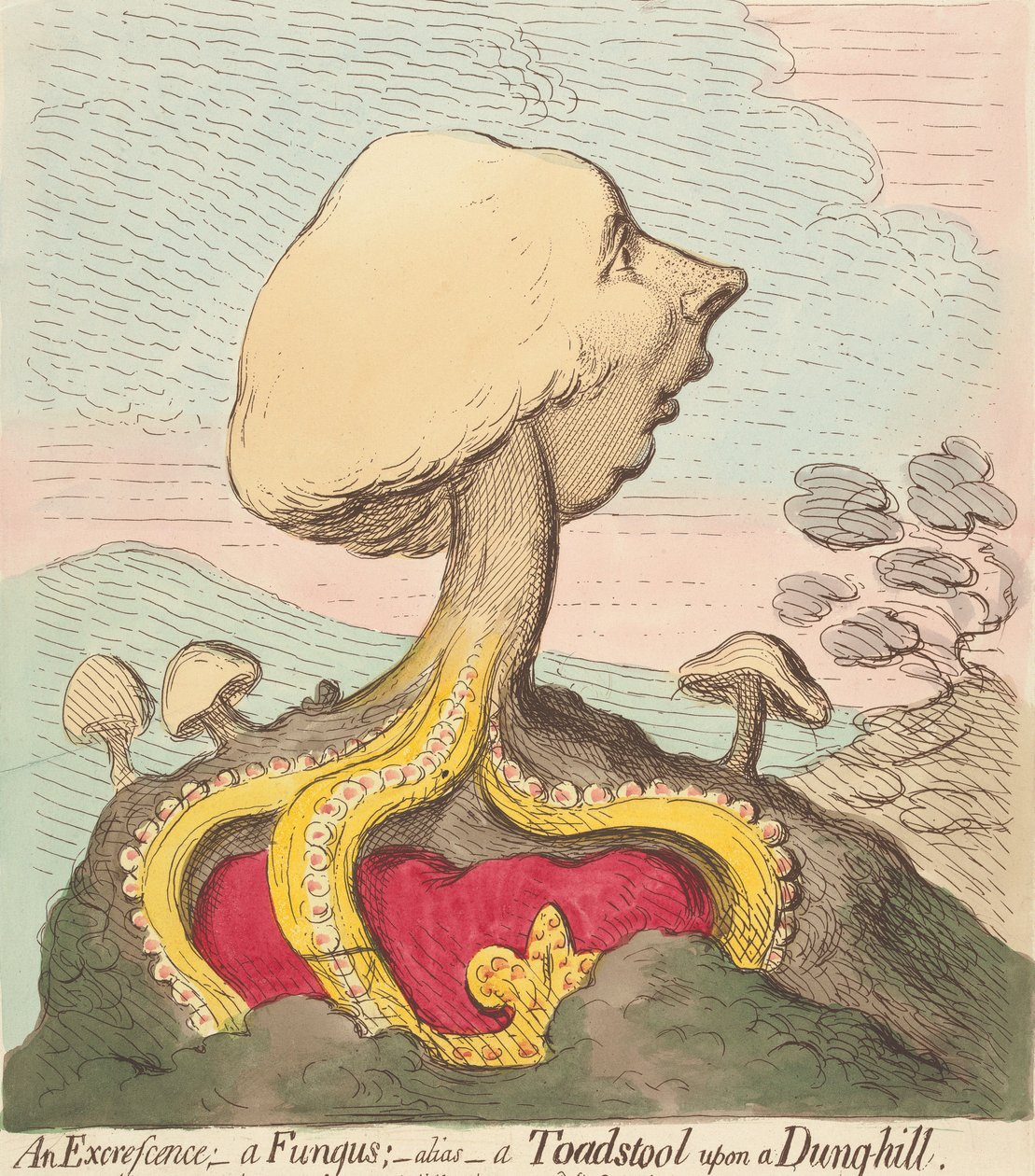 Eine Auswucherung; - Ein Pilz; - Alias - Ein Fliegenpilz auf einem Misthaufen von James Gillray