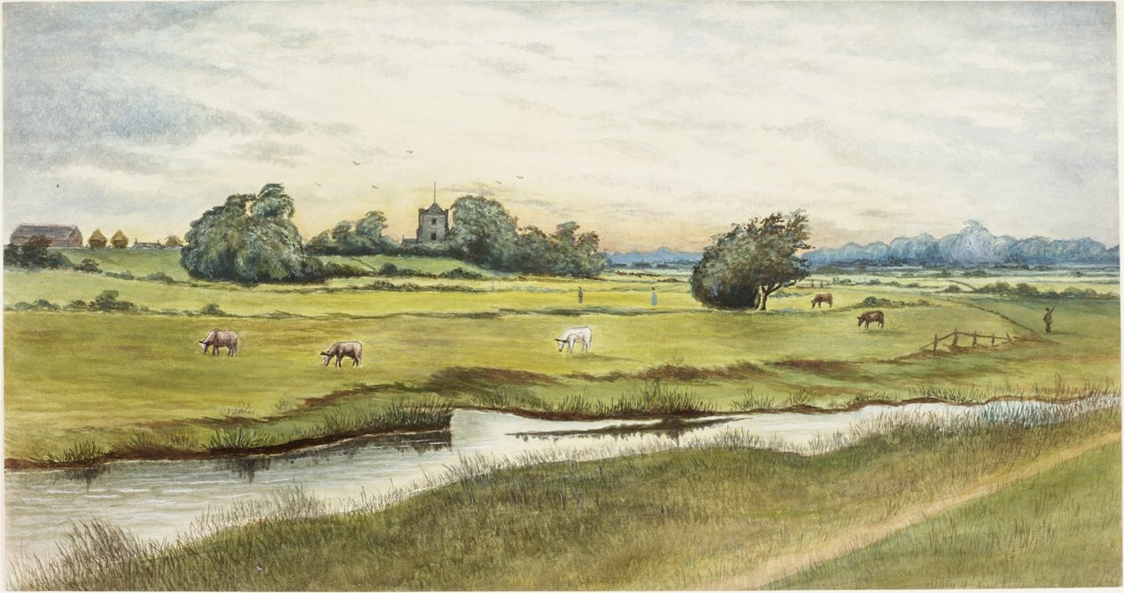 Ryton Meadows von James Henry Cleet