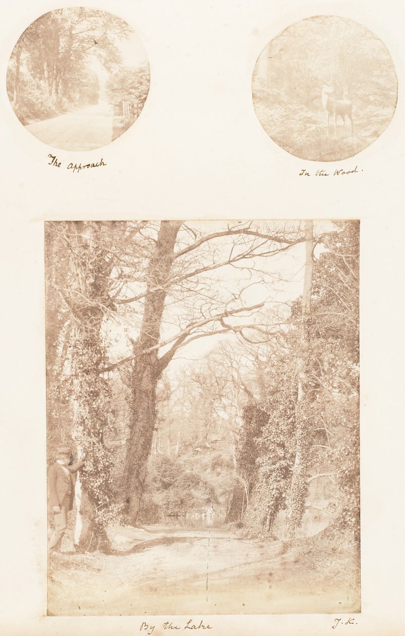 Der Ansatz, Im Wald, Am See, 1853-56 von James Knight