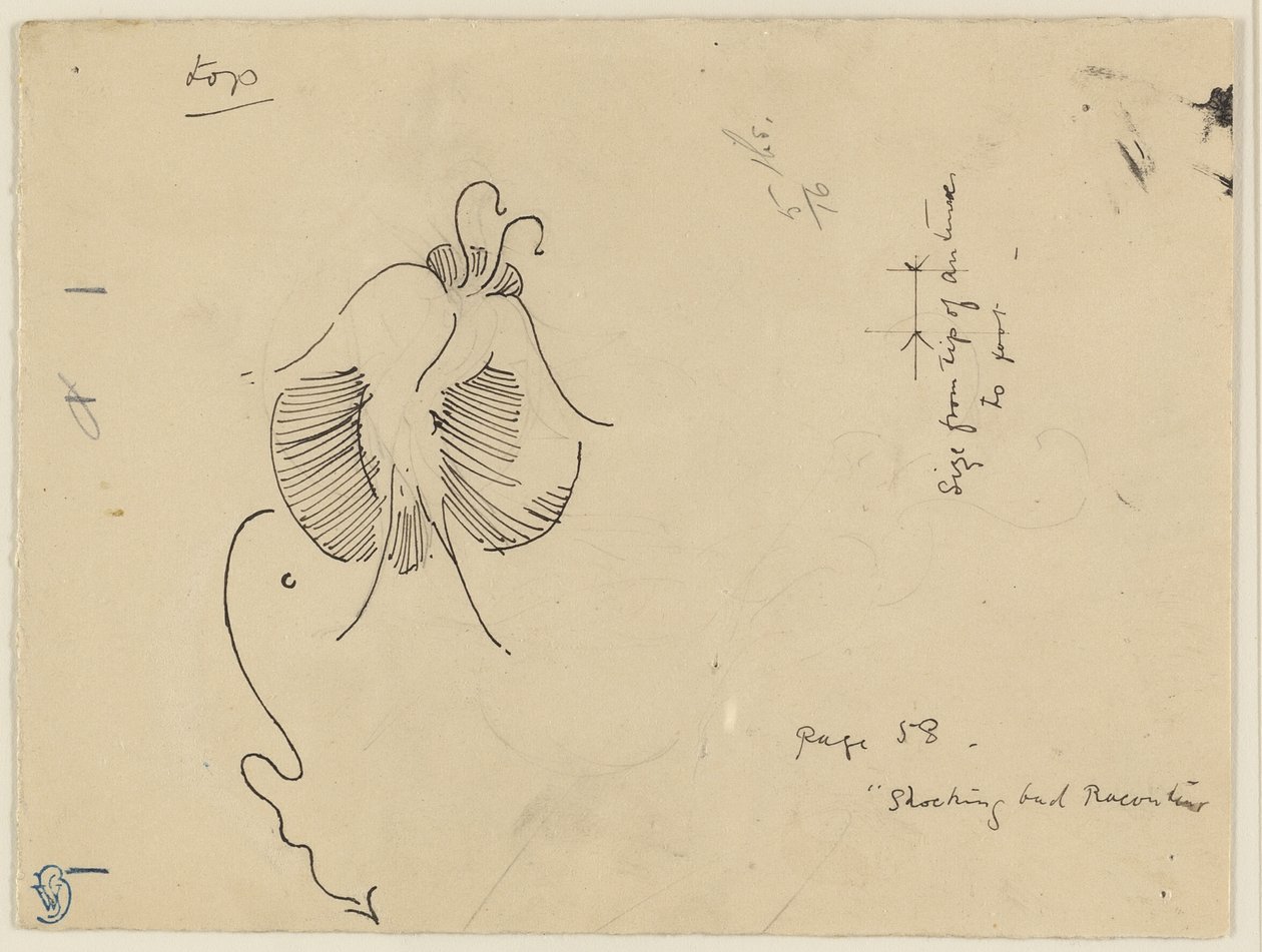 Schmetterling (recto); Fragment eines Schmetterlings (verso) von James McNeill Whistler