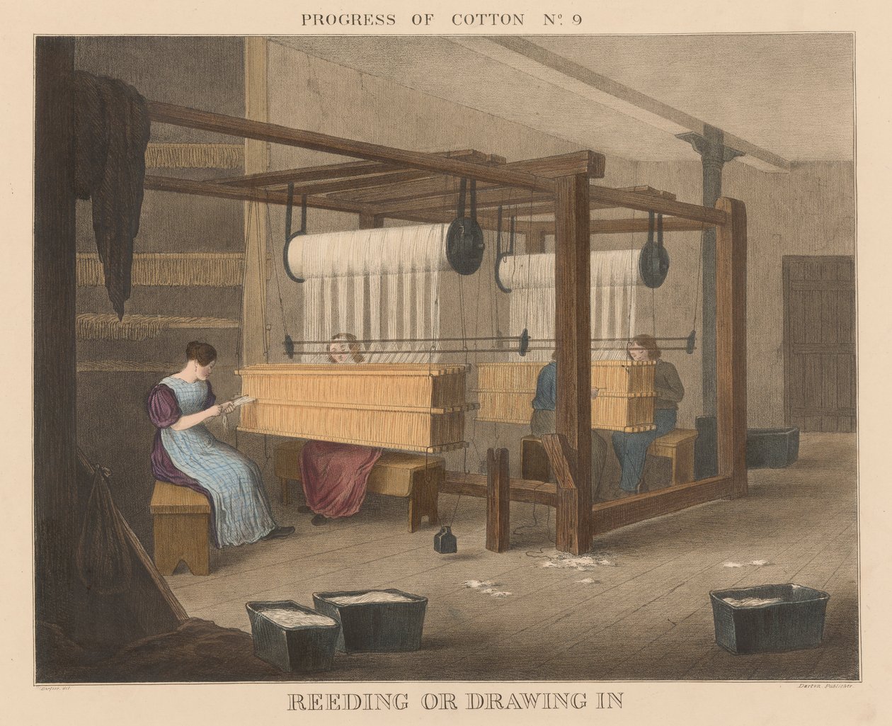 Fortschritt der Baumwolle: #9 - Reeding oder Einziehen von James Richard Barfoot