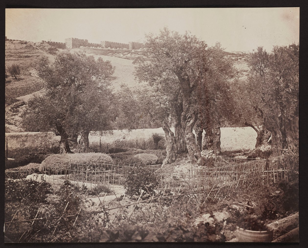 Gethsemane [Jerusalem. Garten Gethsemane] von James Robertson