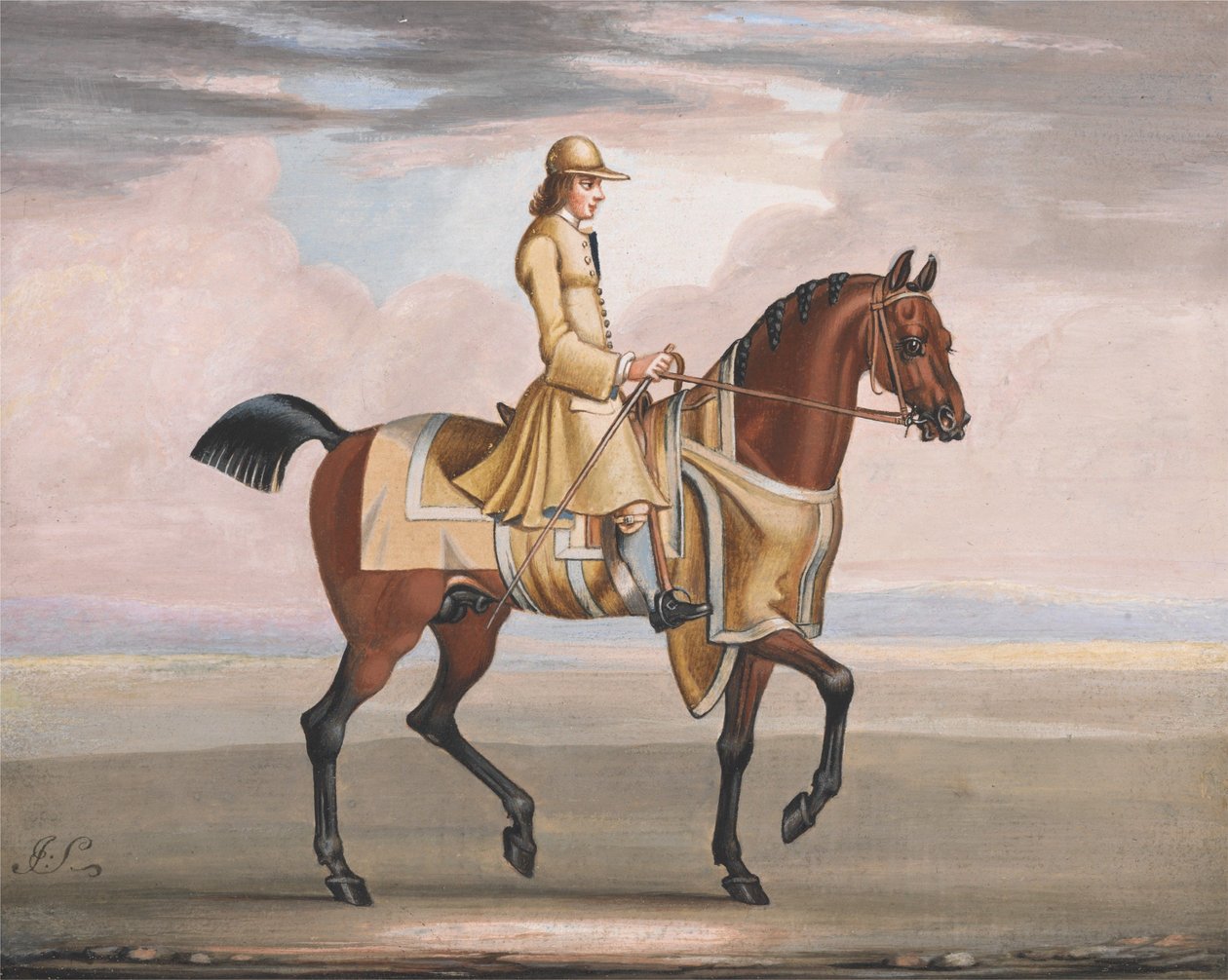 Ein Kastanienbraunes Pferd beim Training von James Seymour