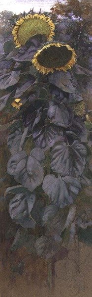 Sonnenblumen von James Valentine Jelley