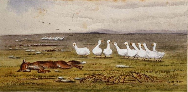 Ein Spiel von Fuchs und Gänsen von James W. Usher