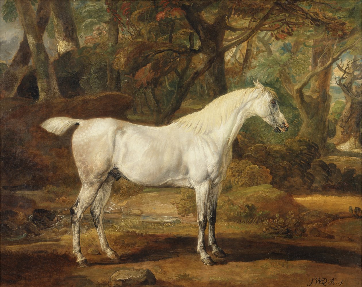 Ein grauer arabischer Hengst, Eigentum von Sir Watkin Williams-Wynn, ca. 1815-20 von James Ward