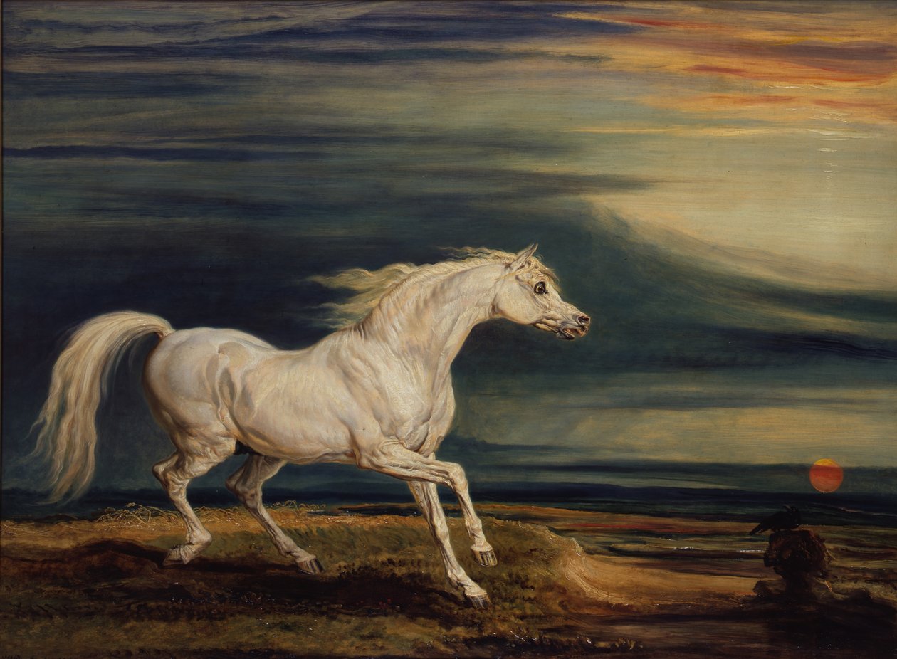 Marengo, das arabische Pferd, geritten von Napoleon Bonaparte in der Schlacht von Waterloo von James Ward