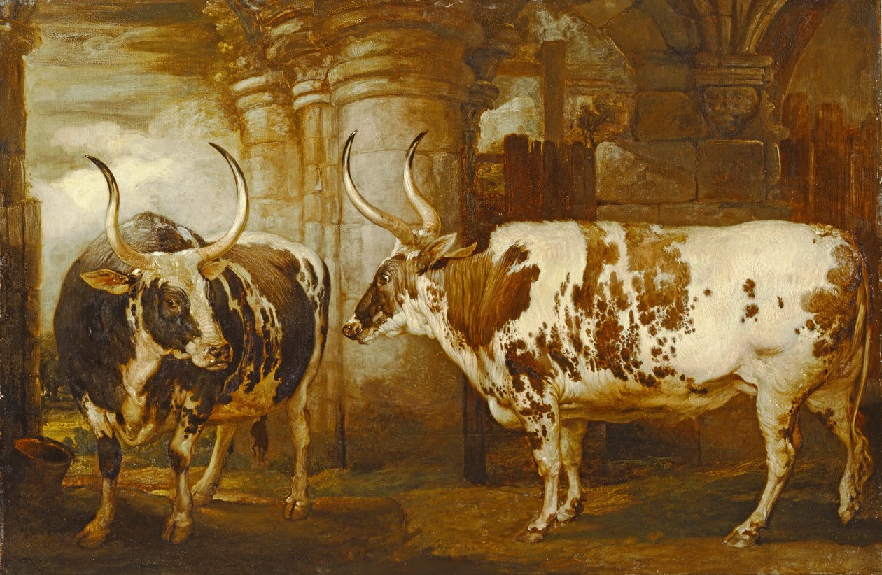 Porträts von zwei außergewöhnlichen Ochsen, Eigentum des Earl of Powis von James Ward