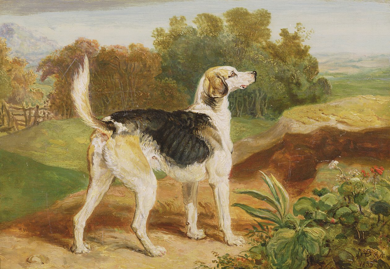 Ravager, einer der Lambton-Hunde von James Ward