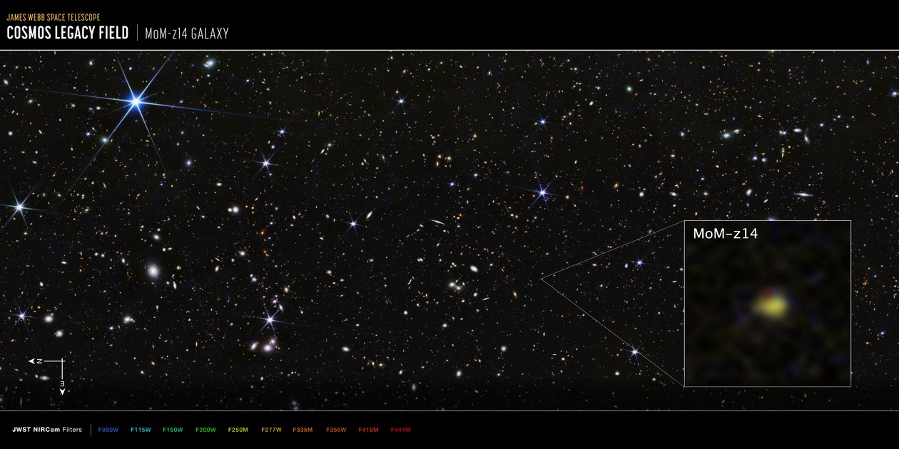 COSMOS-Feld MoM-z14 Galaxie von James Webb Space Telescope (NASA)