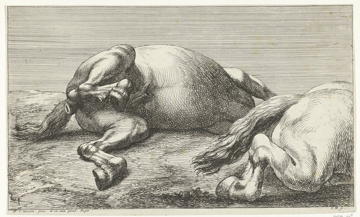 Zwei im Kampf getötete Pferde, von links gesehen von Jan van Huchtenburgh  