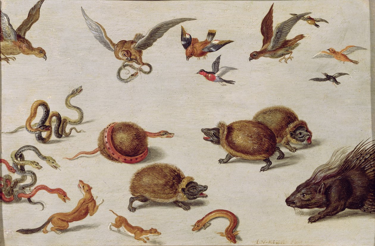 Die Feinde der Schlangen von Jan van Kessel the Elder