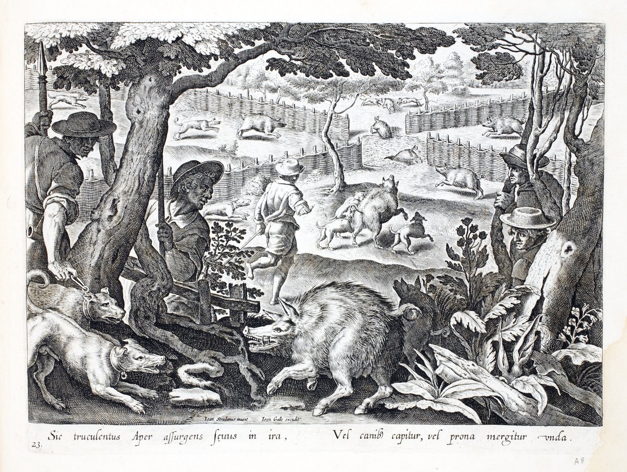 Ein wütender Wildschwein erhebt sich in Zorn, Hunde treiben andere ins Wasser, Illustration aus 