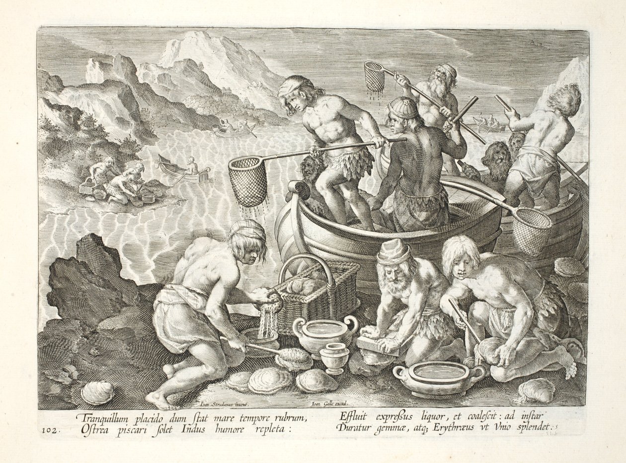 Einheimische fischen nach Riesenmuscheln am Indus, Tafel 102, Illustration aus 