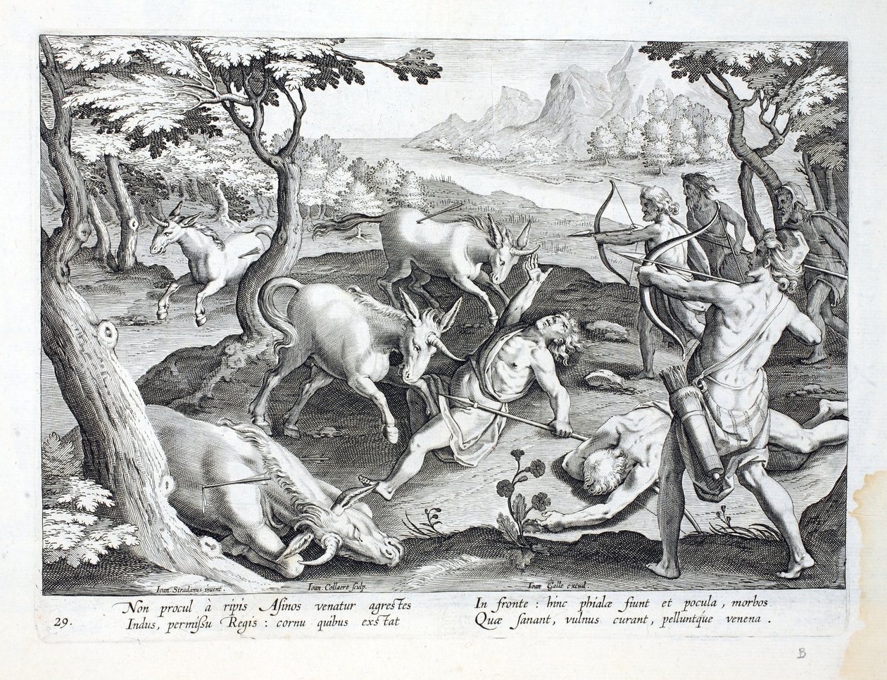 Einhörner am Ufer des Indus, gejagt mit Erlaubnis des Königs, Illustration aus 