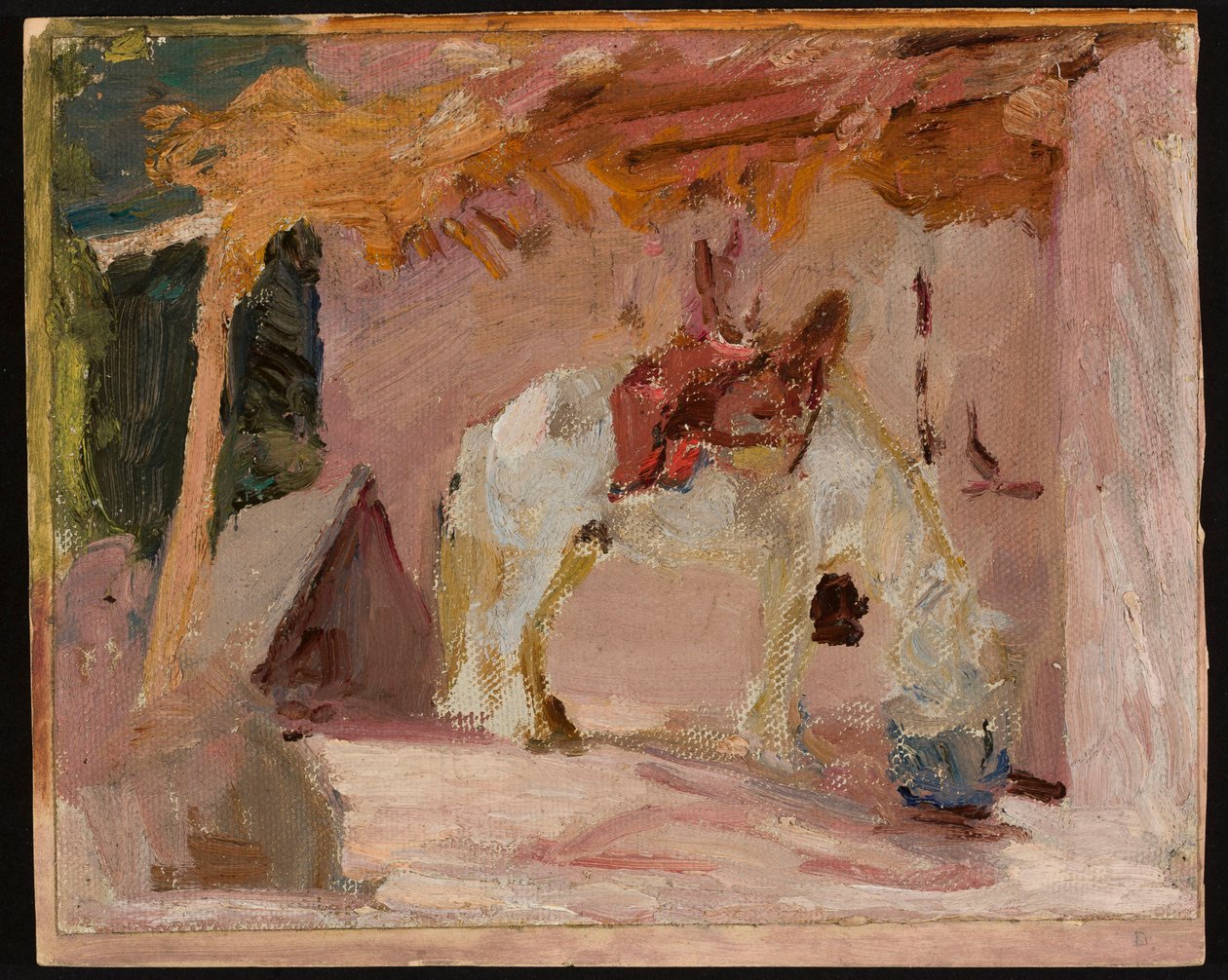 Pferd. Aus der Reise nach Turkestan von Jan Ciągliński