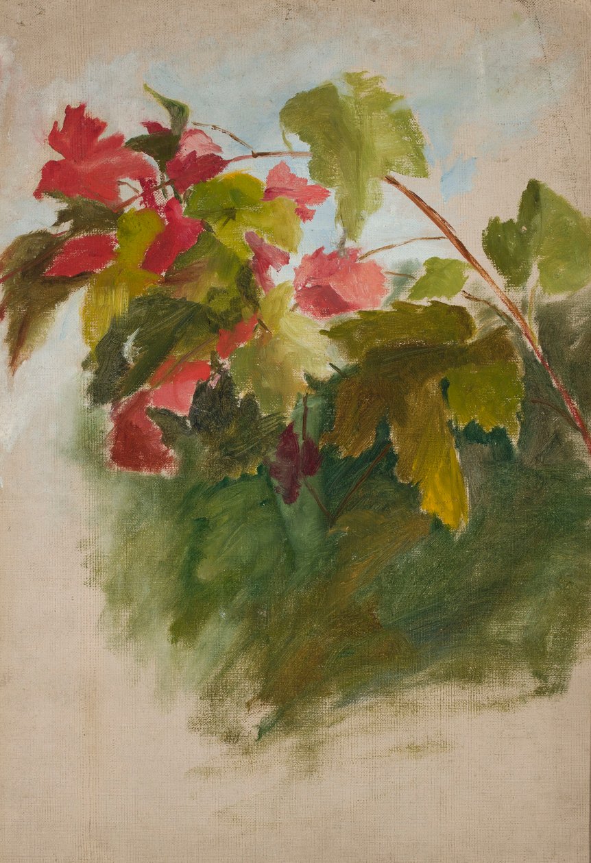 Weinlaub von Jan Ciągliński