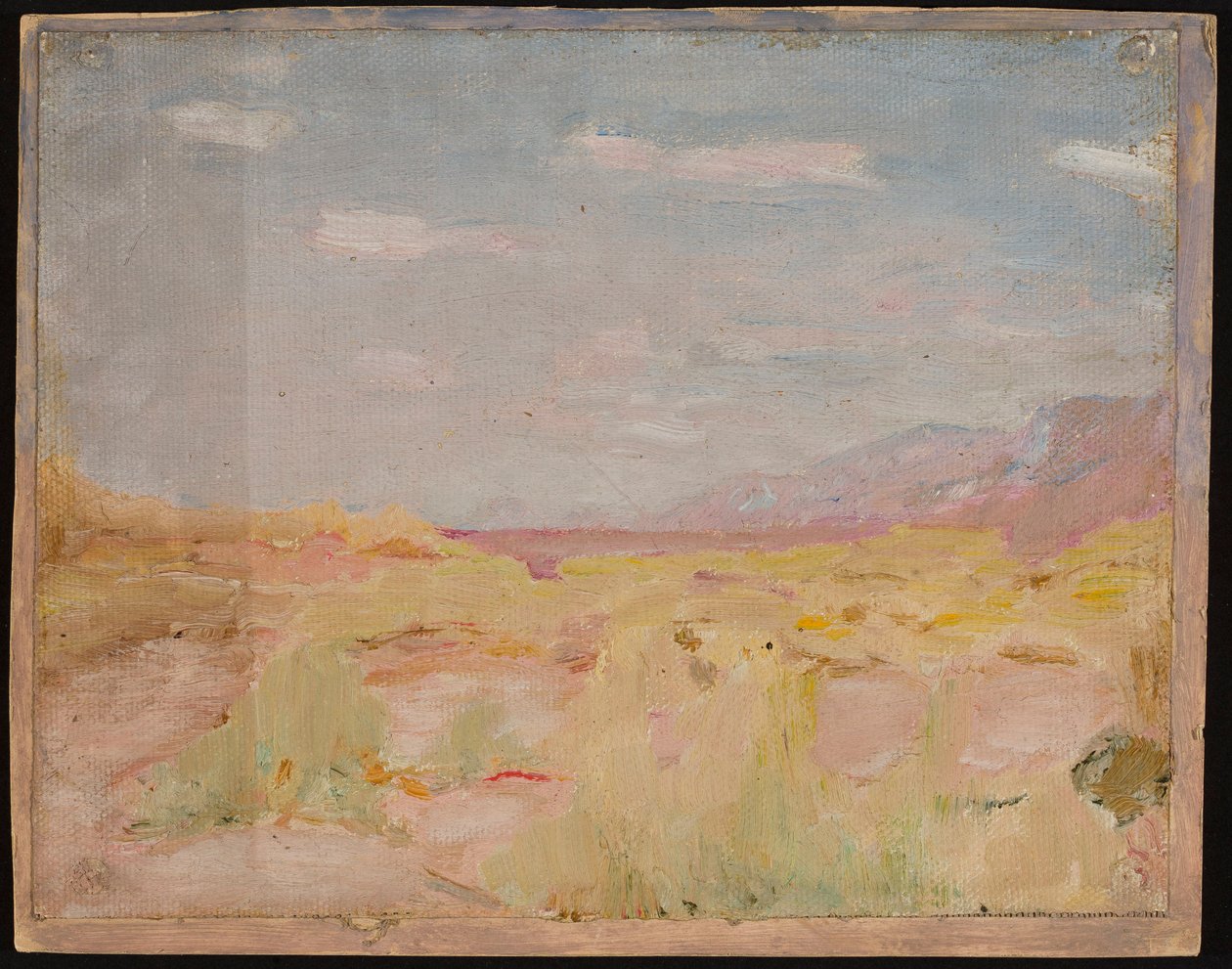 Steppe (Kraj Zakaspijski). Aus einer Reise nach Turkestan von Jan Ciągliński