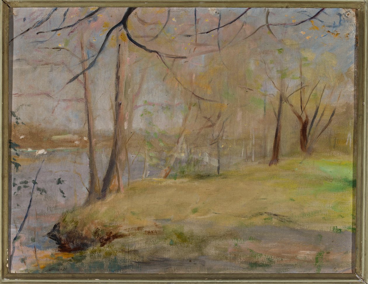 Studium aus Marijno von Jan Ciągliński