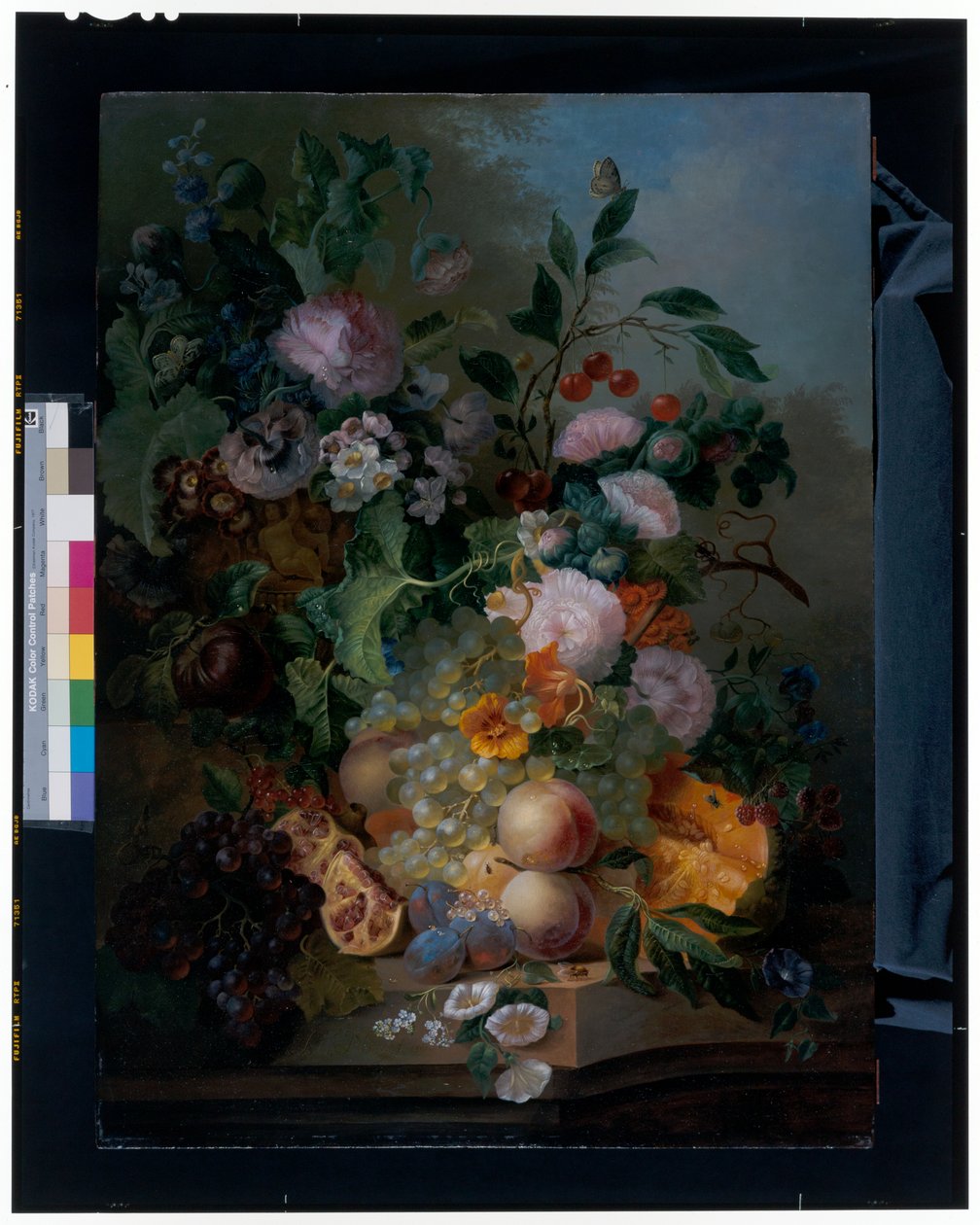 Stillleben mit Blumen, Birnen, Trauben, Kirschen, einer Melone und Schmetterlingen von Jan Evert Morel