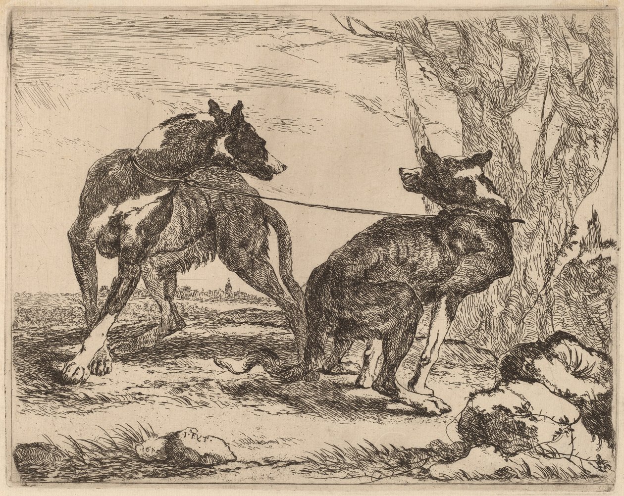 Zwei Windhunde, an der Leine und einander zugewandt von Jan Fyt