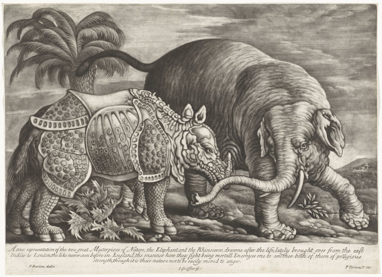 Elefant und Nashorn von Jan Griffier (I)