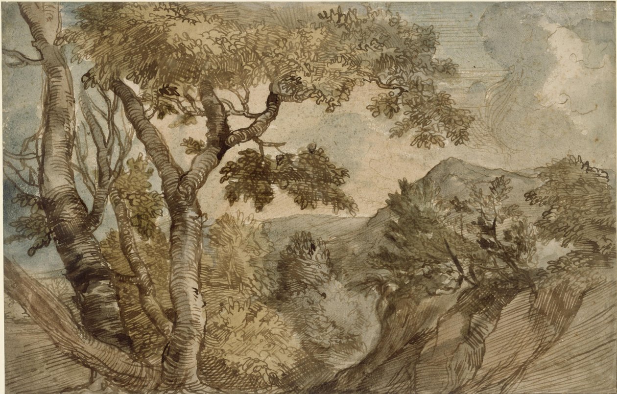 Bergige Landschaft mit Baumgruppe von Jan Lievens