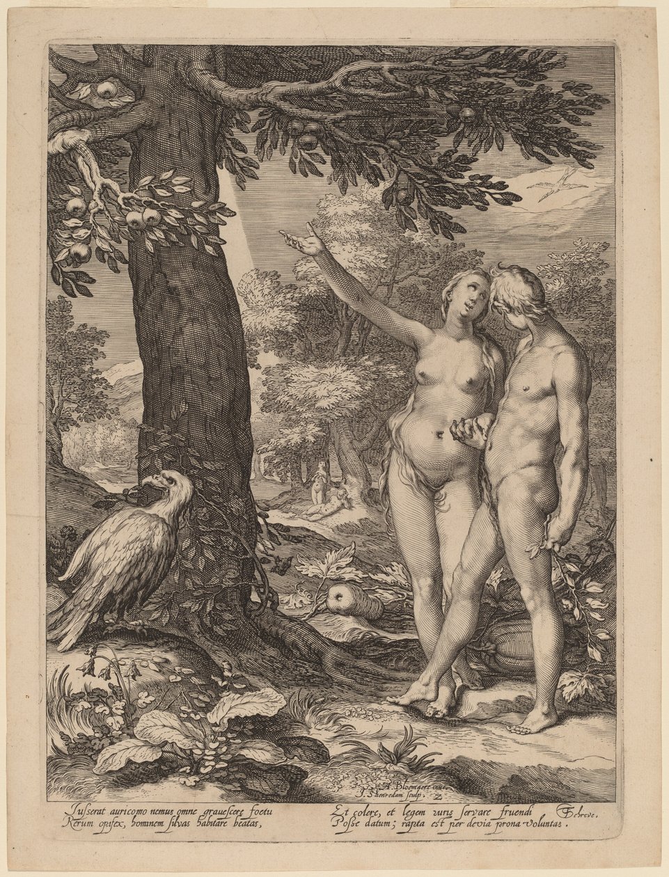 Adam und Eva vor dem Baum der Erkenntnis von Jan Pietersz Saenredam after Abraham Bloemaert