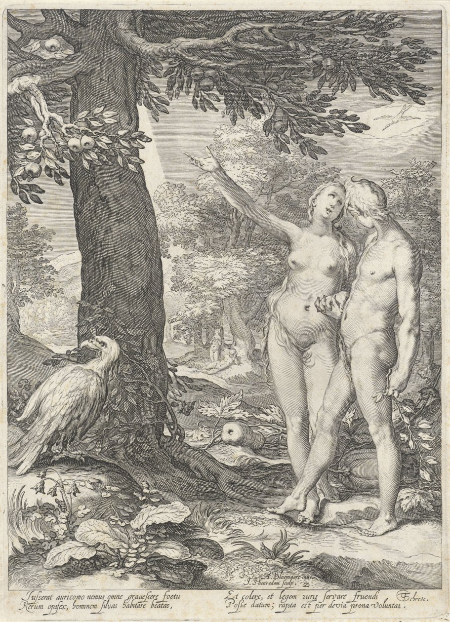 Adam und Eva vor dem Baum der Erkenntnis von Gut und Böse von Jan Saenredam