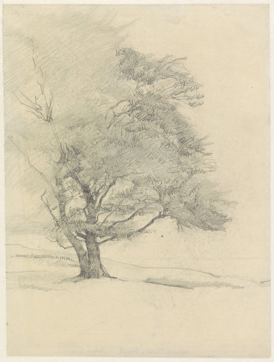 Der Malerbuche bei Hoog-Soeren von Jan Veth