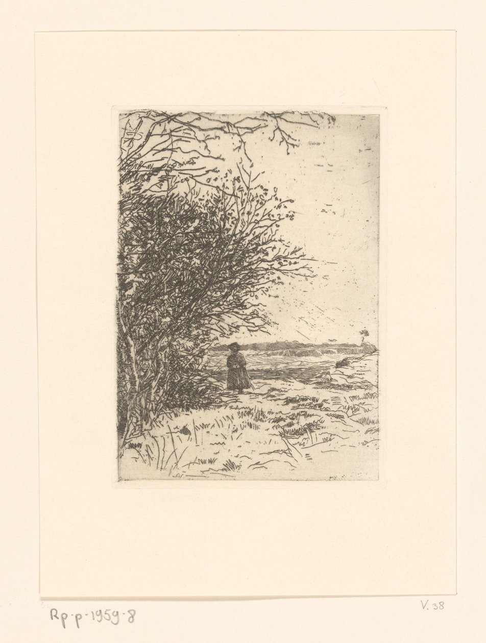 Frau in einer Landschaft von Jan Veth